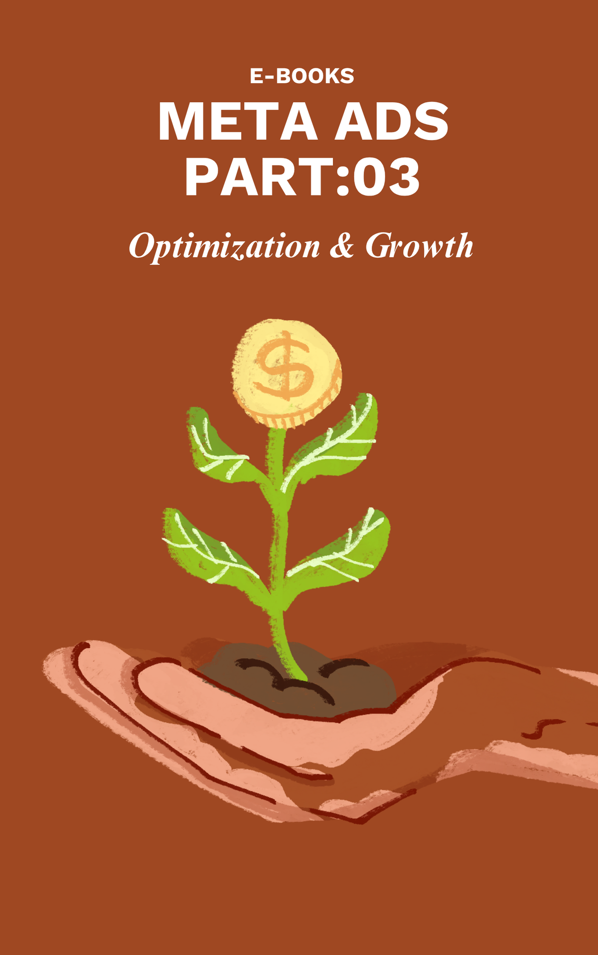 Meta E-Book Part-03 (Growth & Optimisation)